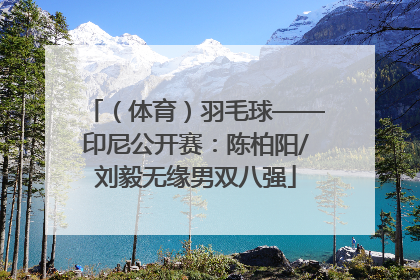 （体育）羽毛球——印尼公开赛：陈柏阳/刘毅无缘男双八强