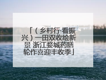 （乡村行·看振兴）一田双收绘新景 浙江婺城药膳轮作喜迎丰收季