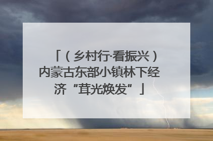 （乡村行·看振兴）内蒙古东部小镇林下经济“茸光焕发”