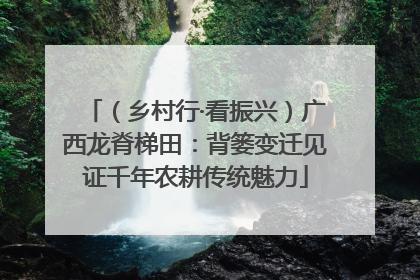 （乡村行·看振兴）广西龙脊梯田：背篓变迁见证千年农耕传统魅力