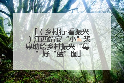 （乡村行·看振兴）江西靖安“小”浆果助绘乡村振兴“莓”好“蓝”图