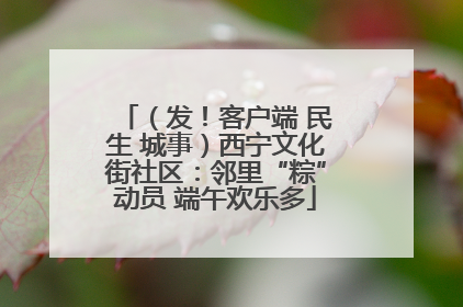 （发！客户端 民生 城事）西宁文化街社区：邻里“粽”动员 端午欢乐多