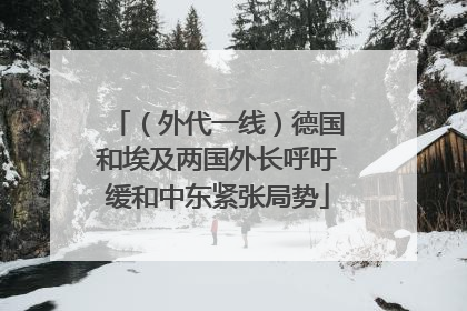 （外代一线）德国和埃及两国外长呼吁缓和中东紧张局势