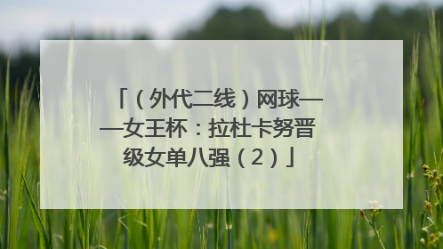 （外代二线）网球——女王杯：拉杜卡努晋级女单八强（2）