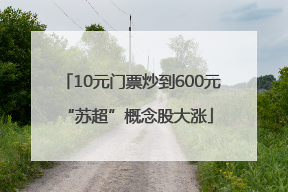 10元门票炒到600元 “苏超”概念股大涨