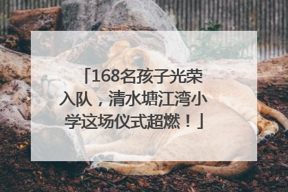 168名孩子光荣入队，清水塘江湾小学这场仪式超燃！
