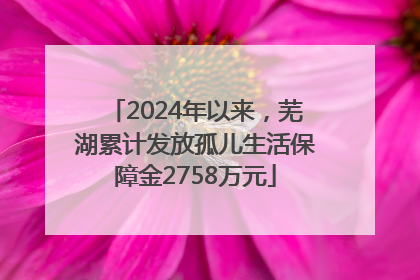 2024年以来，芜湖累计发放孤儿生活保障金2758万元