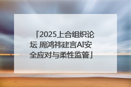 2025上合组织论坛 周鸿祎建言AI安全应对与柔性监管