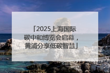 2025上海国际碳中和博览会启幕，黄浦分享低碳智慧
