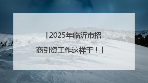 2025年临沂市招商引资工作这样干！