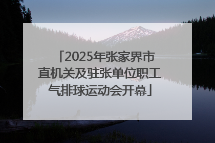 2025年张家界市直机关及驻张单位职工气排球运动会开幕