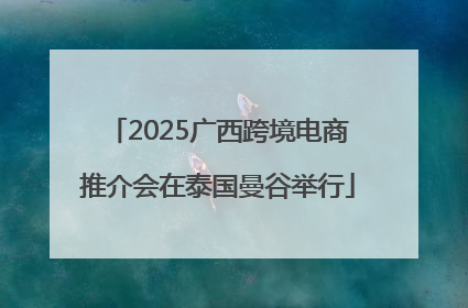 2025广西跨境电商推介会在泰国曼谷举行