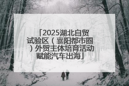 2025湖北自贸试验区（襄阳都市圈）外贸主体培育活动赋能汽车出海
