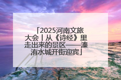 2025河南文旅大会丨从《诗经》里走出来的景区——溱洧水城开街迎宾