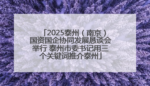2025泰州（南京）国资国企协同发展恳谈会举行 泰州市委书记用三个关键词推介泰州