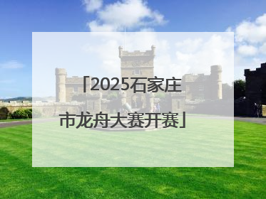 2025石家庄市龙舟大赛开赛