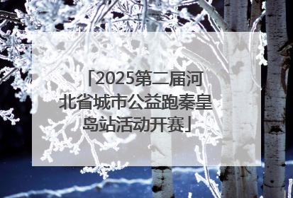 2025第二届河北省城市公益跑秦皇岛站活动开赛