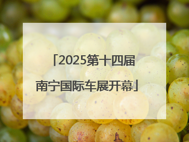 2025第十四届南宁国际车展开幕