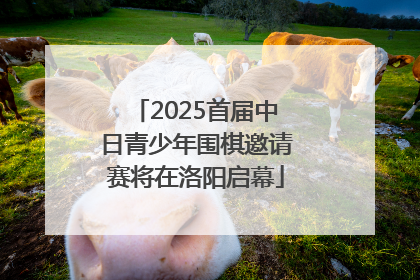2025首届中日青少年围棋邀请赛将在洛阳启幕