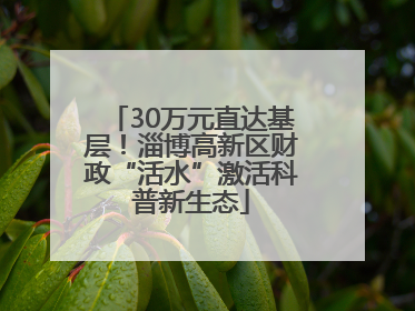30万元直达基层！淄博高新区财政“活水”激活科普新生态
