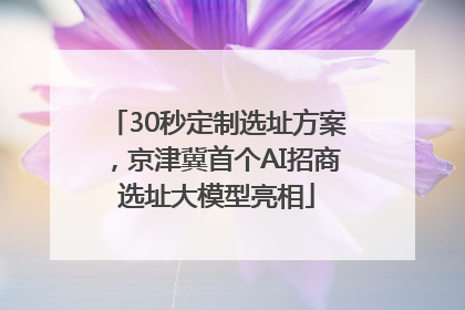 30秒定制选址方案，京津冀首个AI招商选址大模型亮相