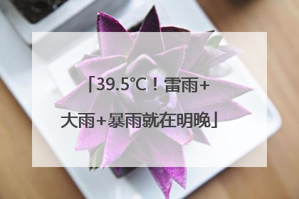 39.5℃！雷雨+大雨+暴雨就在明晚
