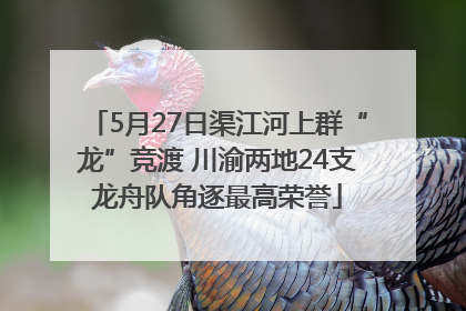 5月27日渠江河上群“龙”竞渡 川渝两地24支龙舟队角逐最高荣誉