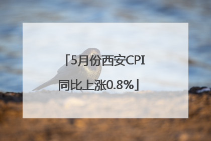 5月份西安CPI同比上涨0.8%