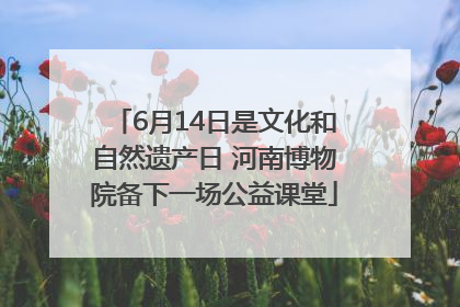 6月14日是文化和自然遗产日 河南博物院备下一场公益课堂