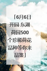 6月6日开园 东湖荷园500个珍稀荷花品种等你来品鉴