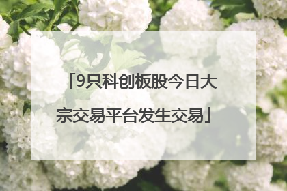9只科创板股今日大宗交易平台发生交易