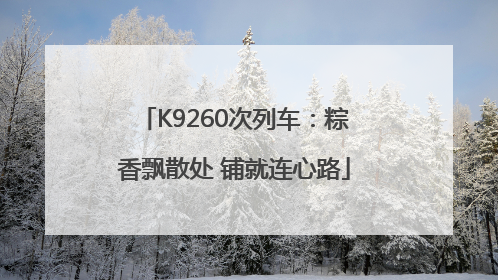 K9260次列车：粽香飘散处 铺就连心路