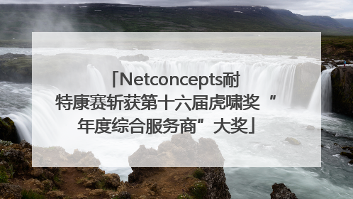 Netconcepts耐特康赛斩获第十六届虎啸奖“年度综合服务商”大奖