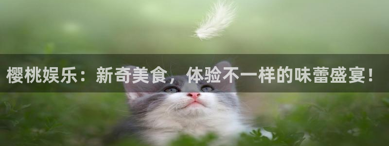极悦平台：樱桃娱乐：新奇美食，体验不一样的味蕾盛宴！