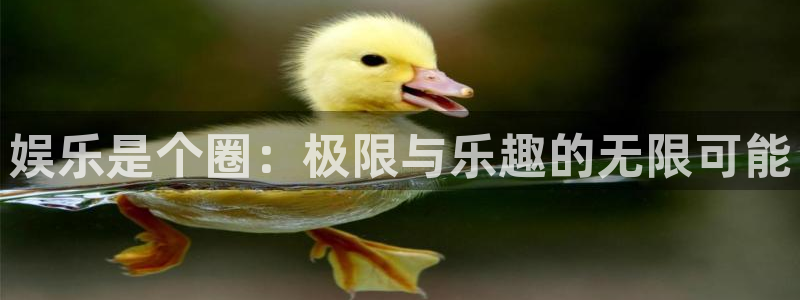 极悦平台app 是什么：娱乐是个圈：极限与乐趣的无限可能