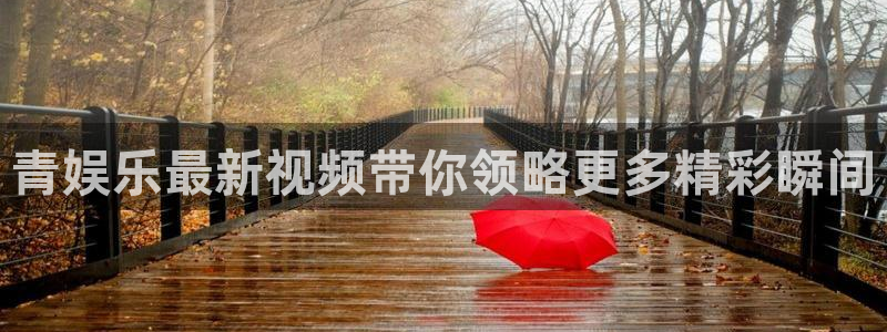 极悦平台网页版：青娱乐最新视频带你领略更多精彩瞬间