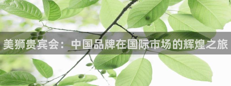 极悦平台.ccmpc正版：美狮贵宾会：中国品牌在国际市场的辉煌之旅