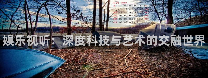 极悦平台.com：娱乐视听：深度科技与艺术的交融世界