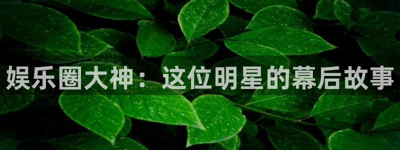 极悦平台注册网站app