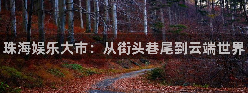 极悦平台app下载：珠海娱乐大市：从街头巷尾到云端世界