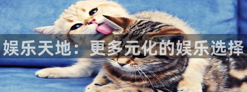 壹号平台娱乐：娱乐天地：更多元化的娱乐选择