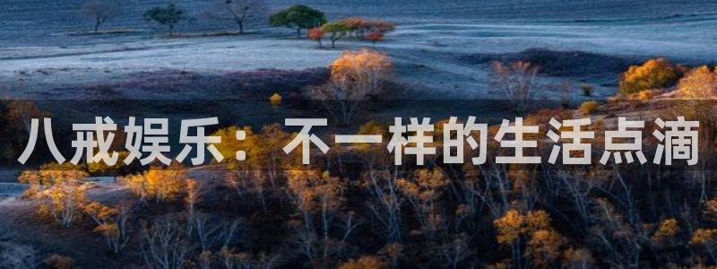 壹号大舞台娱乐app下载安装：八戒娱乐：不一样的生活点滴