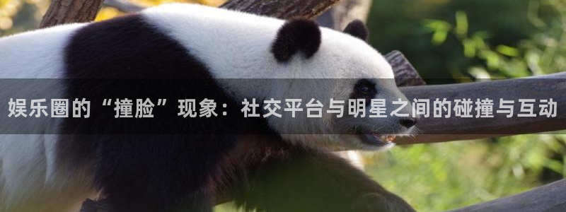 壹号大舞台网站：娱乐圈的“撞脸”现象：社交平台与明星之间的碰撞与互动